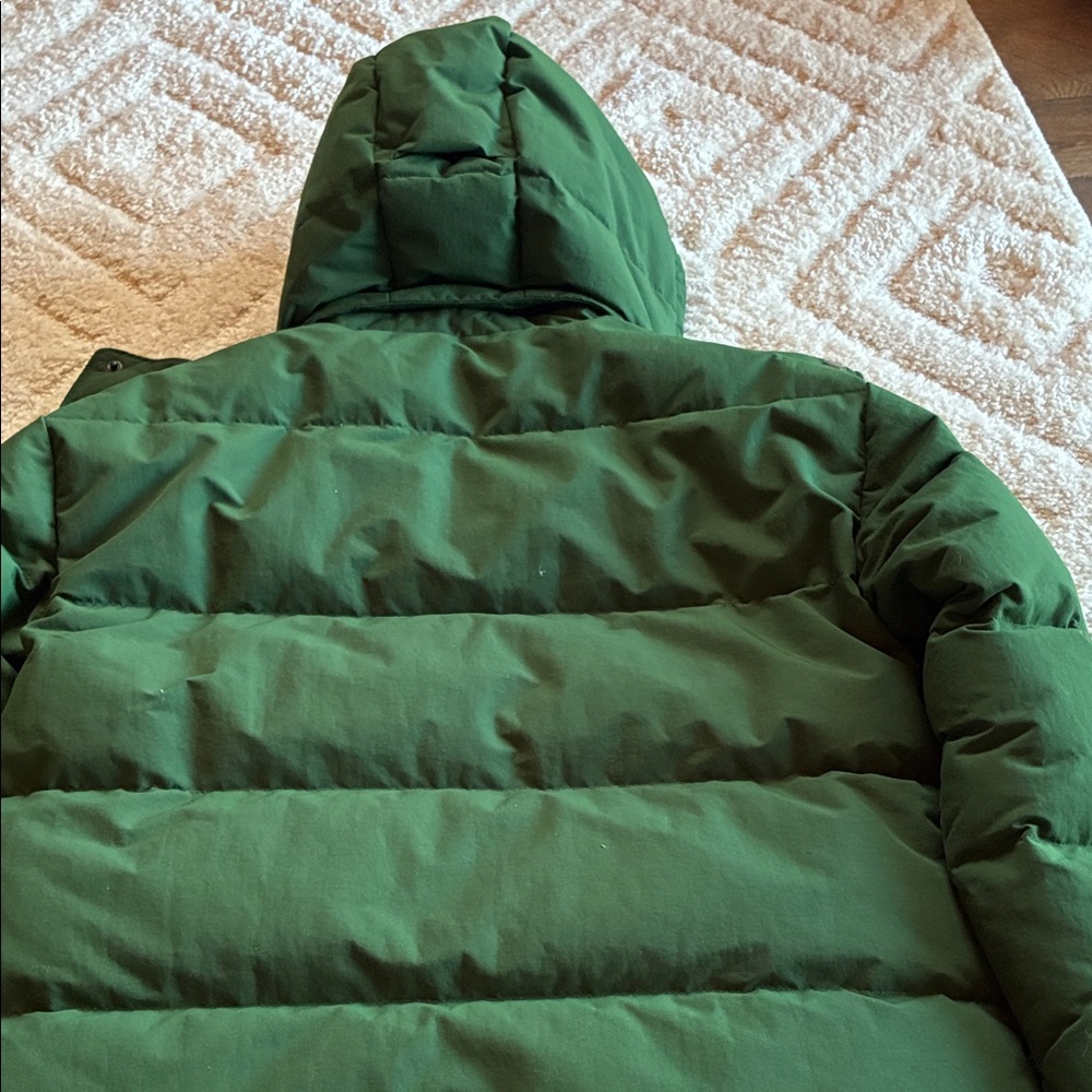 Patagonia Forest Green Downdrift Hooded Coat - Picture 9 of 11